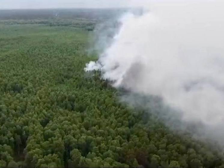 На Южном Урале вторые сутки горят торфяники