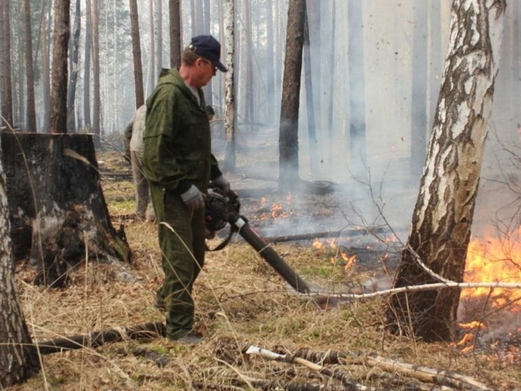  В Приангарье за сутки потушили 2 лесных пожара