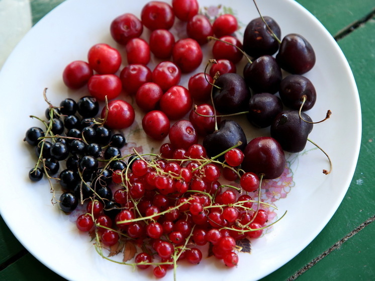 В Роскачестве рассказали какую черешню лучше не покупать