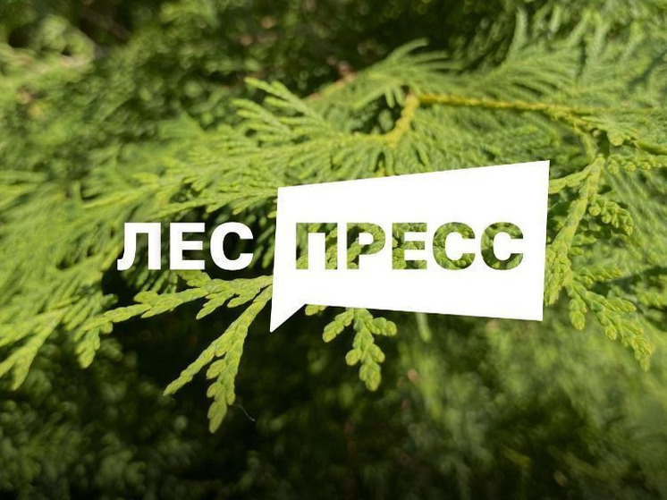 Смоляне смогут принять участие во всероссийском конкурсе «Лес-Пресс»