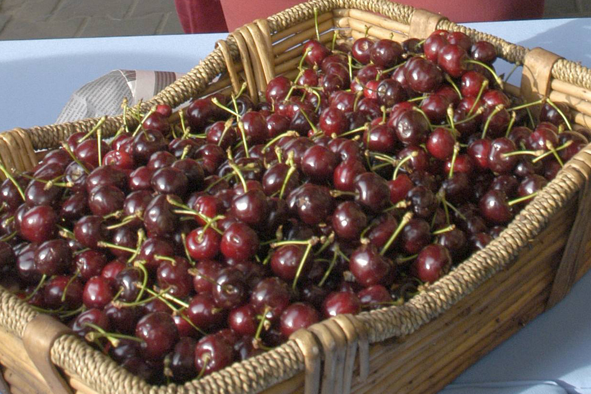 Rospotrebnadzor called the main sign of bad cherries