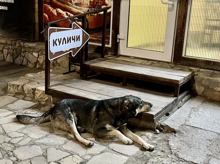 В Красном Куте собаки накинулись на девочку, она получит 20 тысяч рублей