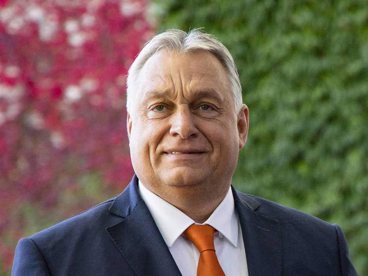 Высказывание премьер-министра Венгрии Орбана о контрнаступлении ВСУ столкнулось с критикой на Украине