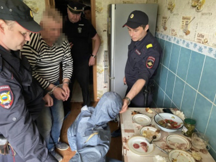 Житель Пензенской области убил ножом подругу сожительницы  и пошёл спать