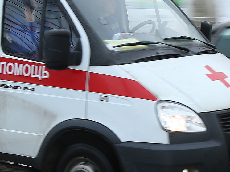 В Серпухове три человека пострадали в ДТП с лосем