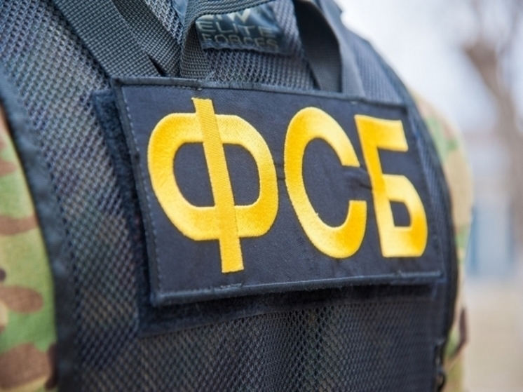 ФСБ задержала волгоградца за экстремистские высказывания