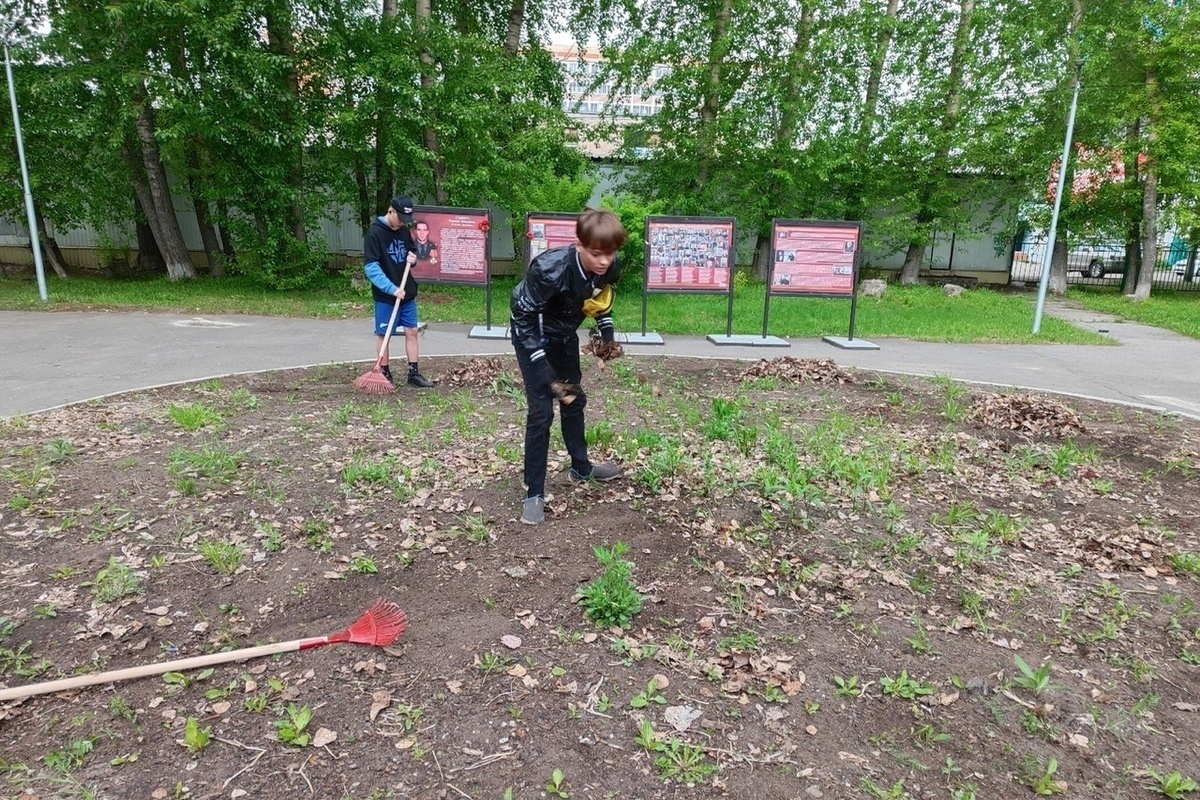 В Архангельских школах начали свою работу трудовые бригады - МКАрхангельск