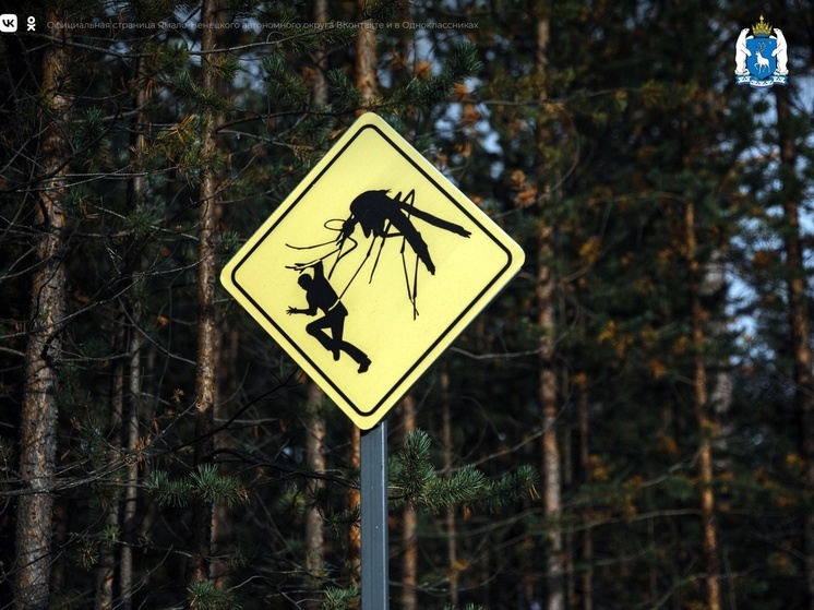Салехард, Лабытнанги и Новый Уренгой не планируют обрабатывать от комаров