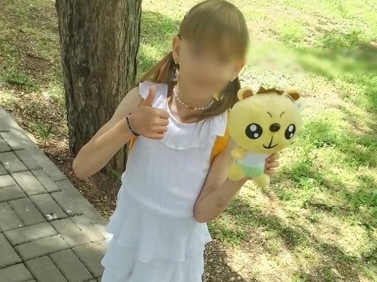 Пропавшая на Дону семилетняя девочка найдена живой