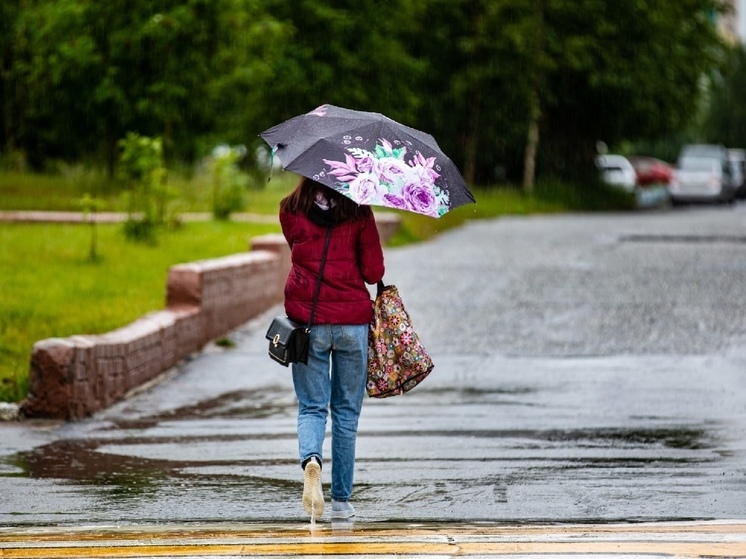 Дождливее обычного: Вильфанд пообещал Ямалу избыток осадков в июне
