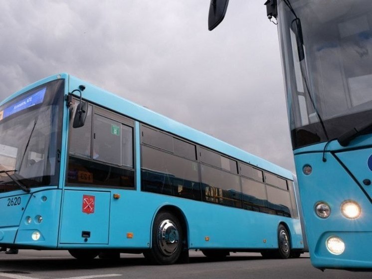 Из-за массового ДТП на Софийской автобусы изменили свои маршруты