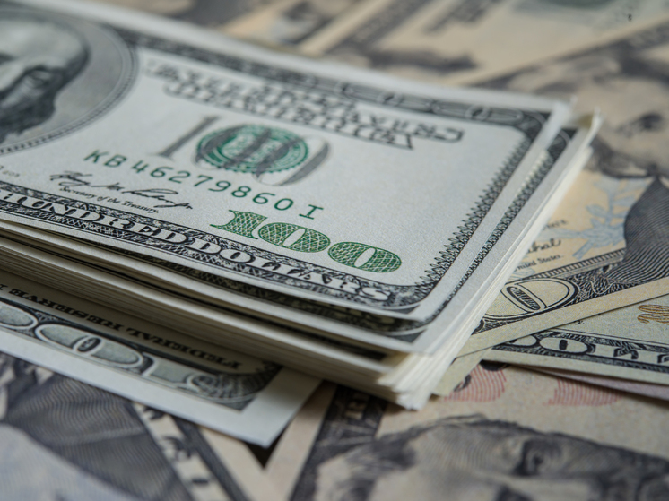 Аналитик Мильчакова спрогнозировала повышение курса доллара с 5 июня