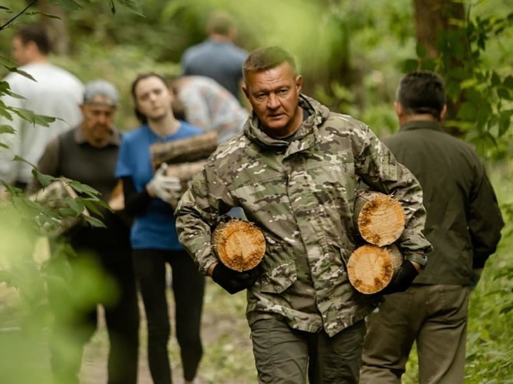В Курской области провели субботник по заготовке дров для военных