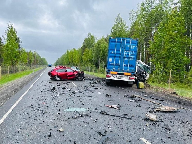 СК организовал проверку после ДТП с погибшим в Лодейнопольском районе