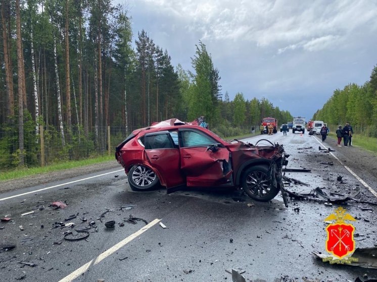 Раскрыты подробности смертельного ДТП на Мурманском шоссе