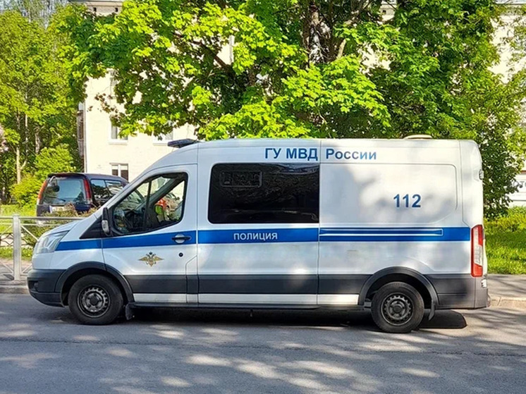 В Ивановской области нашли тело 13-летнего мальчика без признаков насильственной смерти