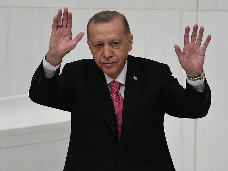 Спикер Госдумы Володин от имени Путина поздравил Эрдогана с инаугурацией