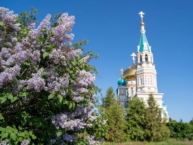 Православные омичи 4 июня отмечают праздник Святой Троицы