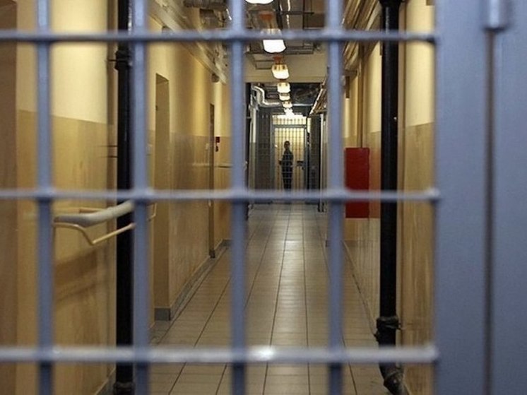 В Ярославле суд отправил под арест 15-летнюю школьницу