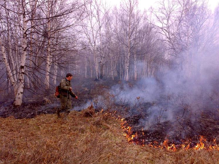 Холод и дожди отменили весенние пожары на Камчатке