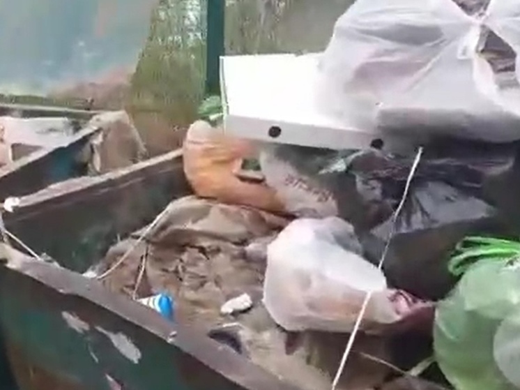 В Аксарке неизвестные забили мусорные баки цементом и деревом со стройки