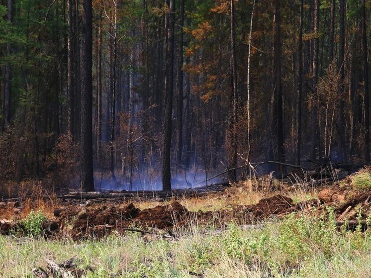 За прошедшие сутки в Приангарье потушили 1 лесной пожар