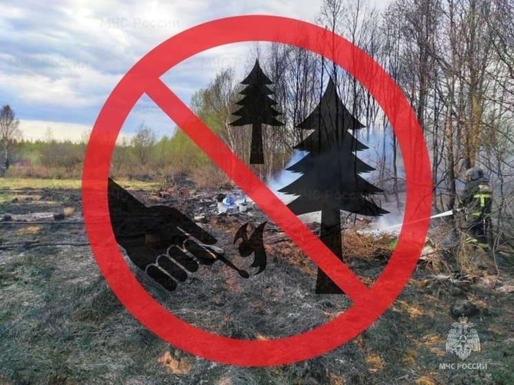 Северянам грозит до 20 тысяч рублей штрафа за нарушение противопожарного режима