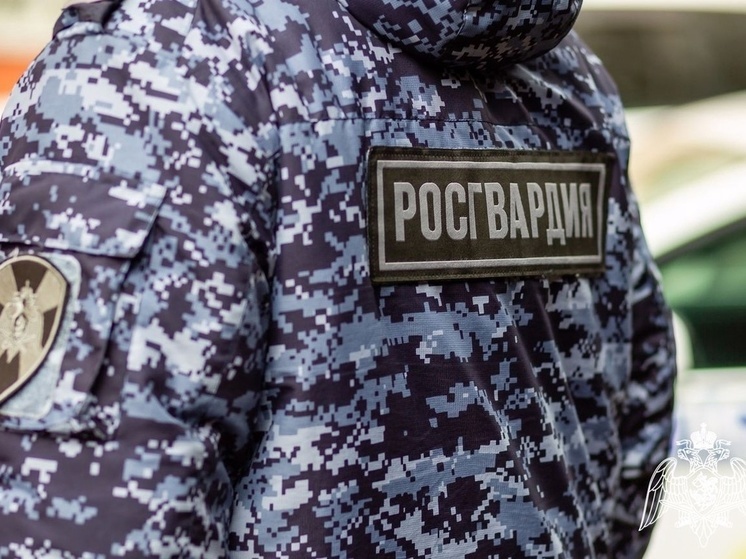 Росгвардейцы Карелии разоружили 12 местных жителей