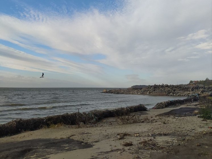 Побережье Азовского моря очистили в рамках всероссийской акции