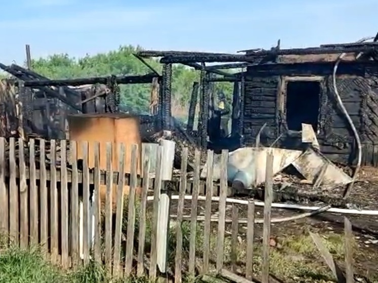 Пять человек погибли на пожарах за выходные в Алтайском крае, в том числе четверо детей