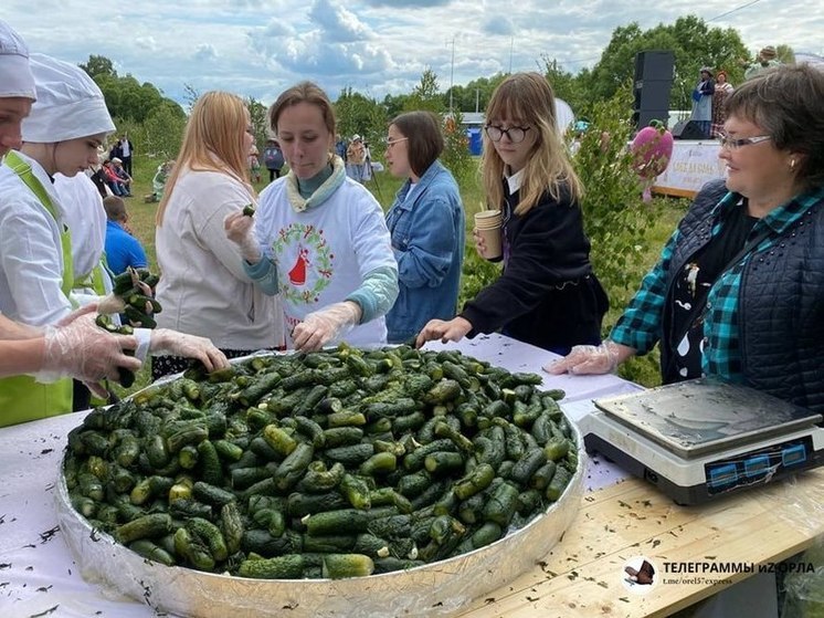 В Орловской области приготовили больше 2 тысяч малосольных огурцов и установили рекорд России