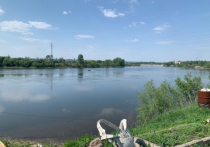 В Красноярске восьмилетняя девочка утонула, пытаясь достать из реки игрушку