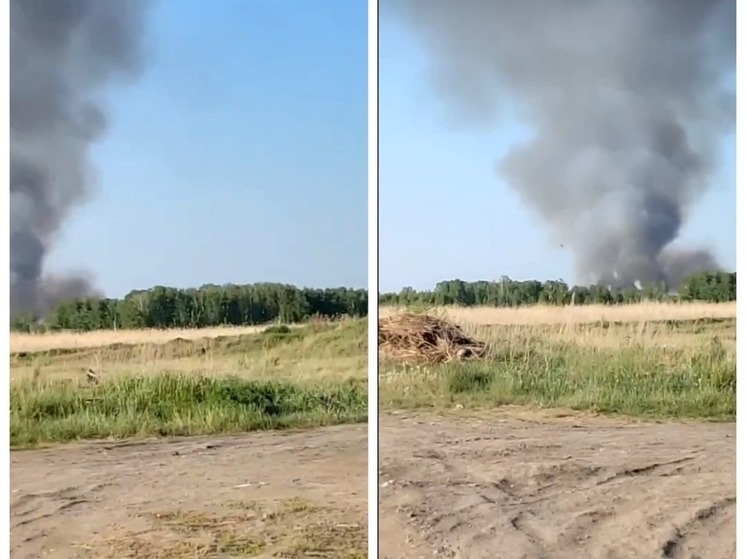 В Новосибирской области загорелся мусорный полигон вечером 4 июня