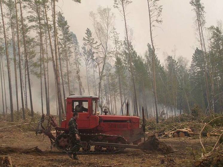 В Тайшетском районе ликвидировали 2 лесных пожара