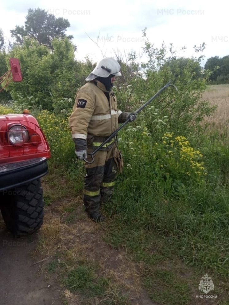 В Глазуновском районе в овраге в ручье нашли тело мужчины