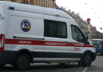 В Санкт-Петербурге в съемной квартире нашли мертвыми двух человек, в том числе несовершеннолетнюю