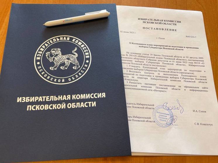 Избирком утвердил календарный план выборов губернатора Псковской области