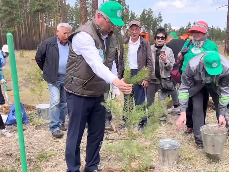 Глава Бурятии и мэр Улан-Удэ посадили деревья в «парке героев»