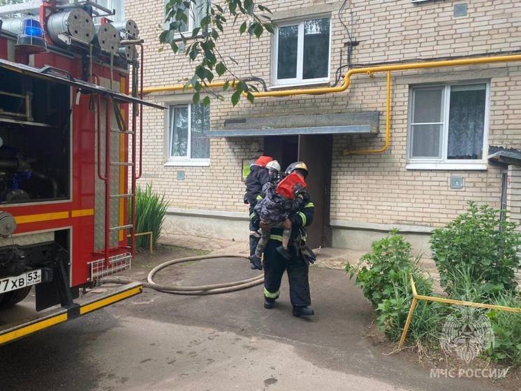 Пожарные спасли трех детей из горящего многоквартирного дома в Старой Руссе