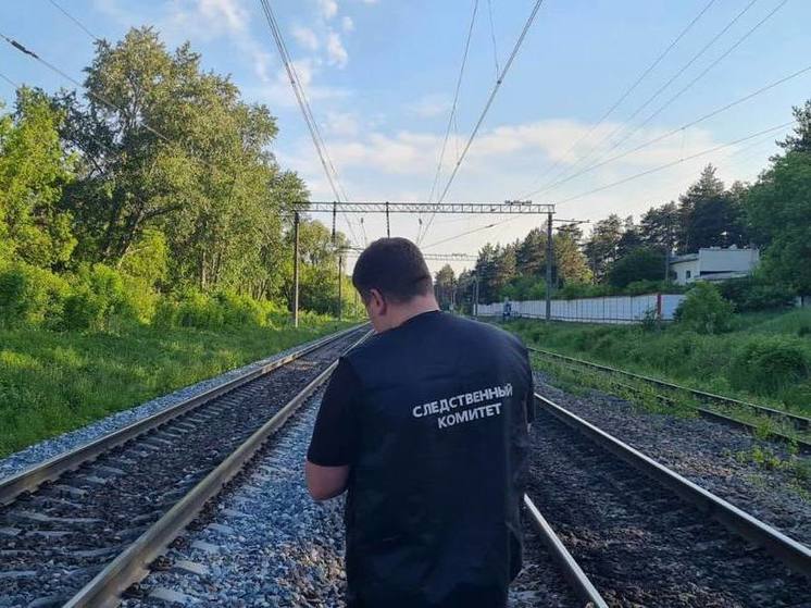 На Южном Урале электричка насмерть сбила 21-летнего парня