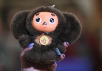 Сотрудники таможенной службы задержали автобус с сотней контрафактных игрушек, направлявшийся из Москвы в Пятигорск