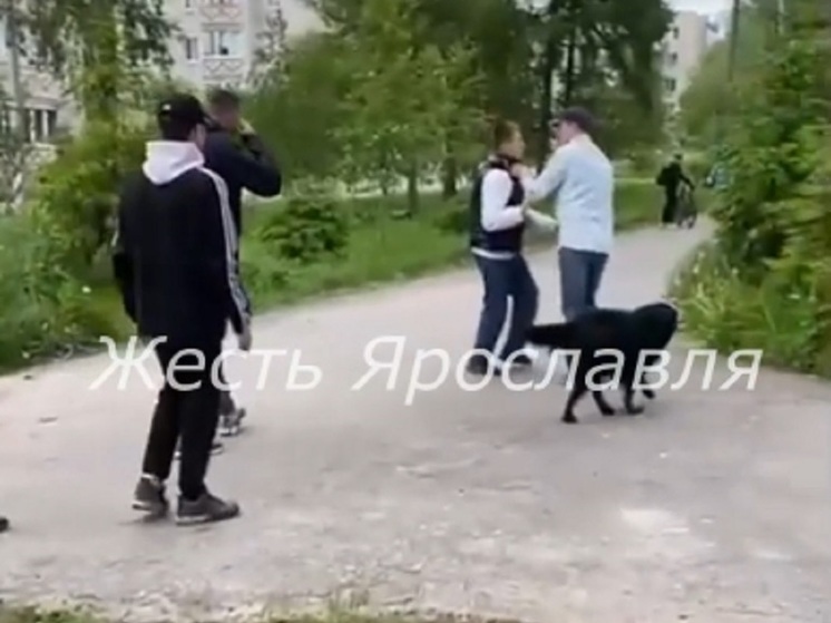 В Ярославской области взрослый мужчина кулаками поучил подростка вежливости