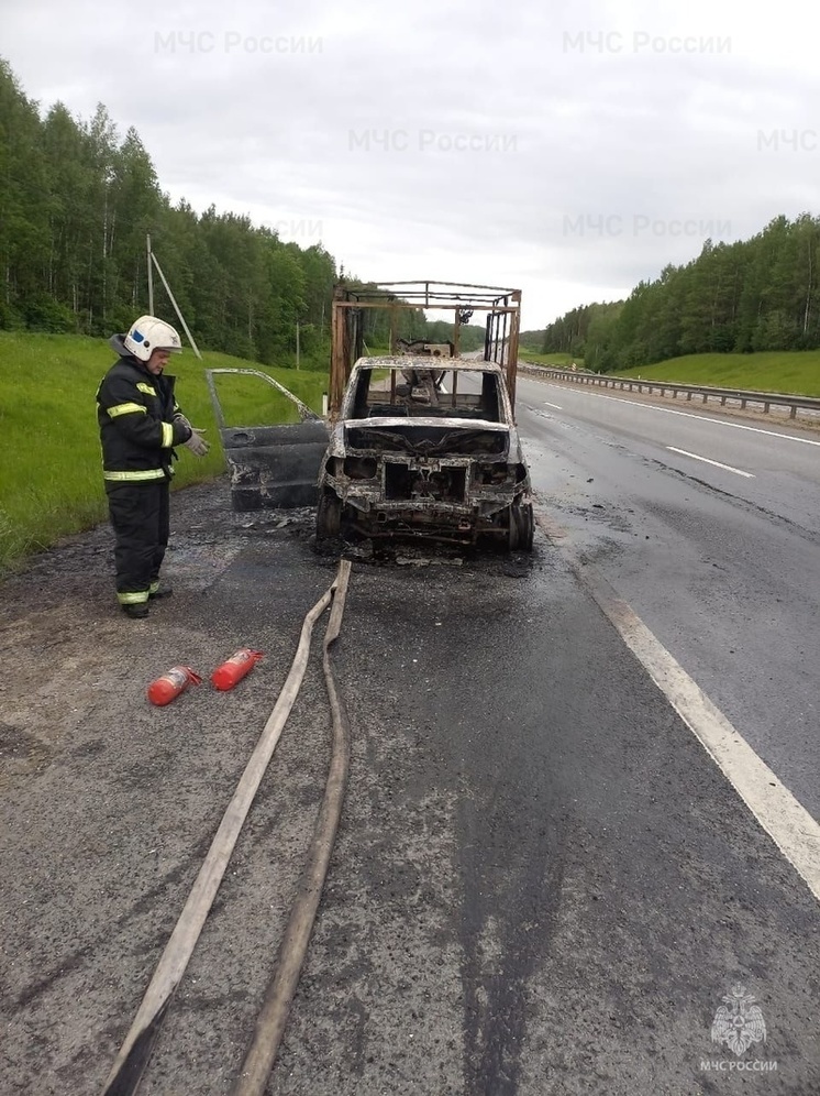 В Александровском районе на трассе сгорел автомобиль