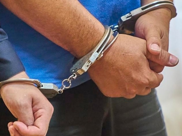Двое наркокурьеров-иностранцев получили тюремный срок в Брянске