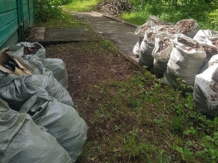 Власти Петрозаводска неделю не могут вывезти мусор после субботника у исторического дома