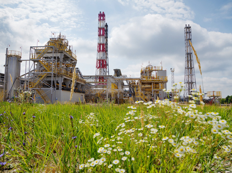 Охрана окружающей среды - один из главных приоритетов для башкирских нефтяников