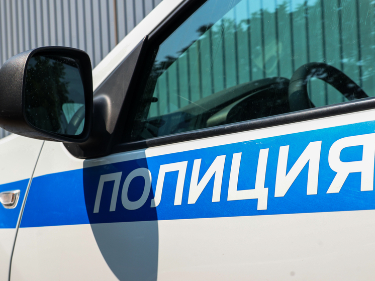 В Петербурге задержали группу воров, обиравших пьяных пассажиров такси и магазины одежды