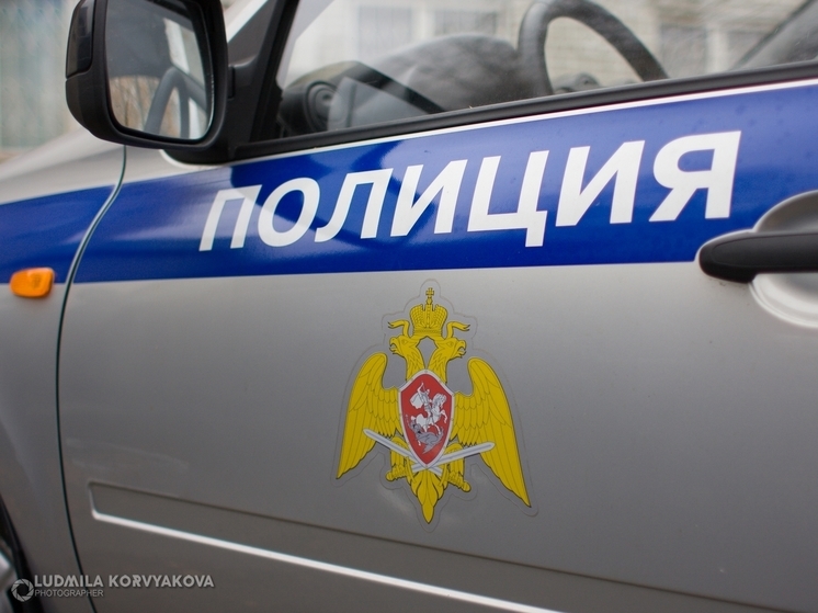 Закладчица из Петрозаводска второй раз попалась на сбыте наркотиков