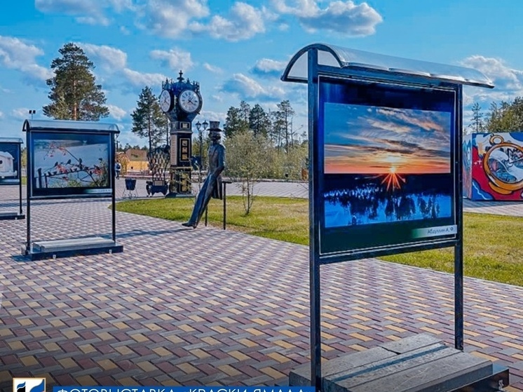 В Губкинском открылась уличная фотовыставка «Краски Ямала»