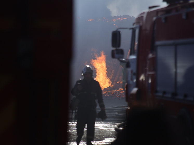 За прошедшую неделю в Калининградской области потушили 137 пожаров